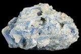 Vibrant Blue Kyanite Crystals In Quartz - Brazil #118842-1